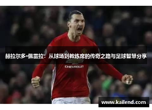 赫拉尔多·佩雷拉：从球场到教练席的传奇之路与足球智慧分享