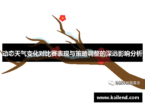动态天气变化对比赛表现与策略调整的深远影响分析