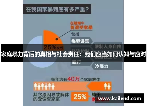 家庭暴力背后的真相与社会责任：我们应当如何认知与应对