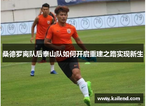 桑德罗离队后泰山队如何开启重建之路实现新生