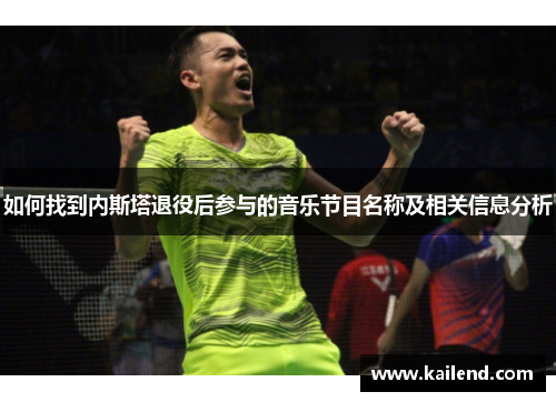 如何找到内斯塔退役后参与的音乐节目名称及相关信息分析