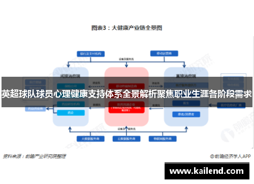 英超球队球员心理健康支持体系全景解析聚焦职业生涯各阶段需求
