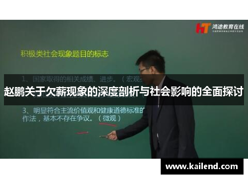 赵鹏关于欠薪现象的深度剖析与社会影响的全面探讨