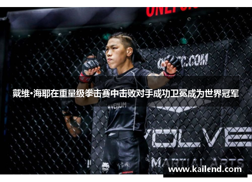 戴维·海耶在重量级拳击赛中击败对手成功卫冕成为世界冠军 戴维·海耶在重量级拳击赛中击败对手成功卫冕成为世界冠军